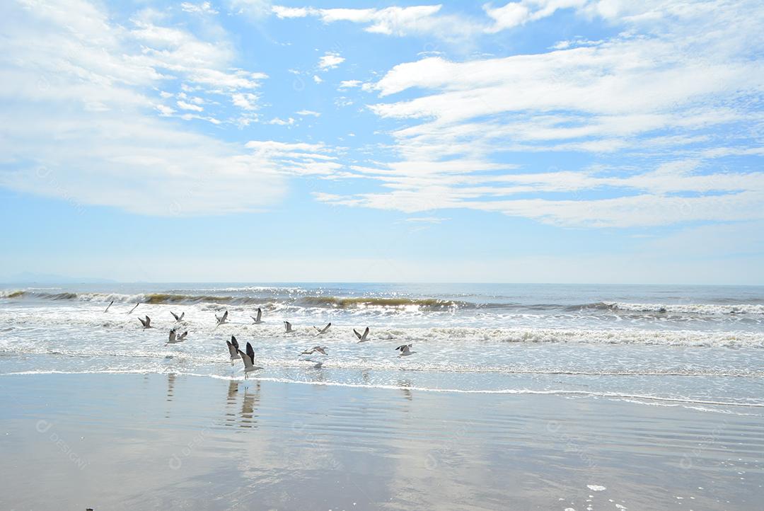 Praia conde perto de João Pessoa Paraíba Brasil