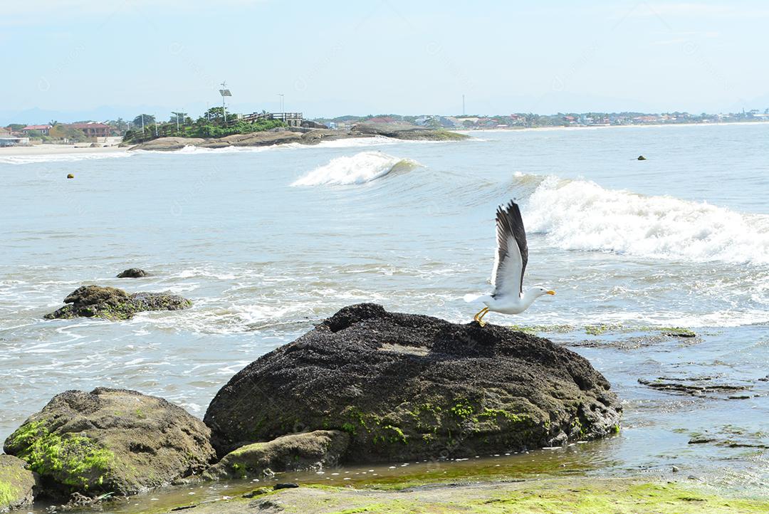 Praia conde perto de João Pessoa Paraíba Brasil