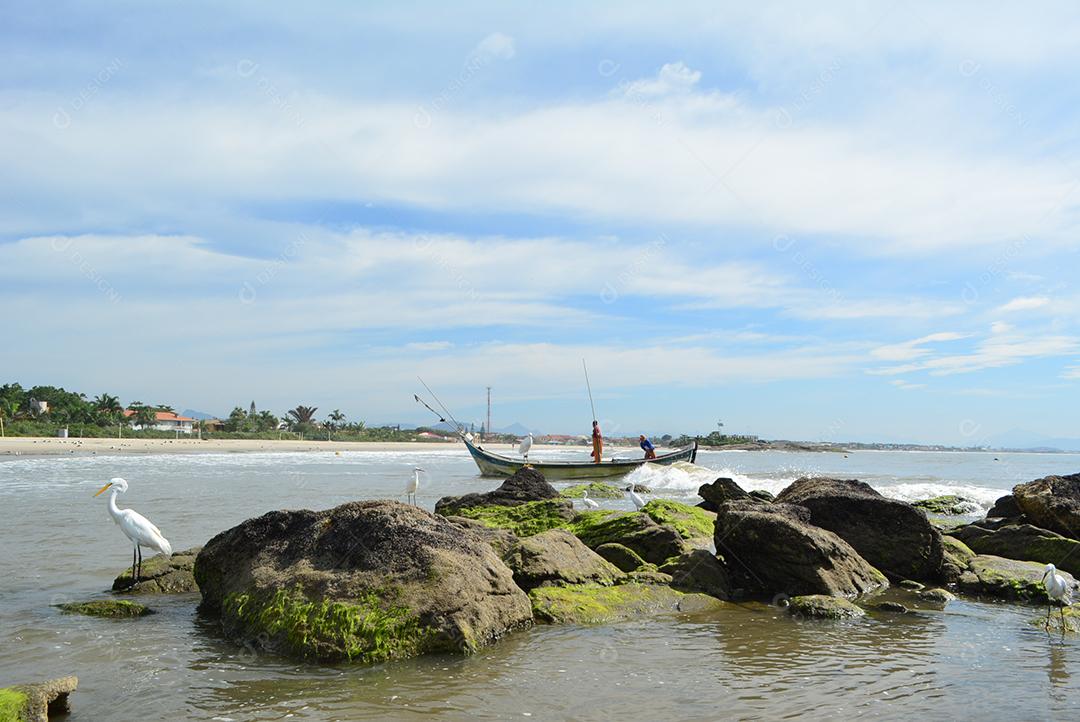 Praia conde perto de João Pessoa Paraíba Brasil