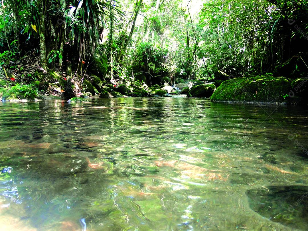Rio com aguas cristalinas, pedras grandes e arvores verdes