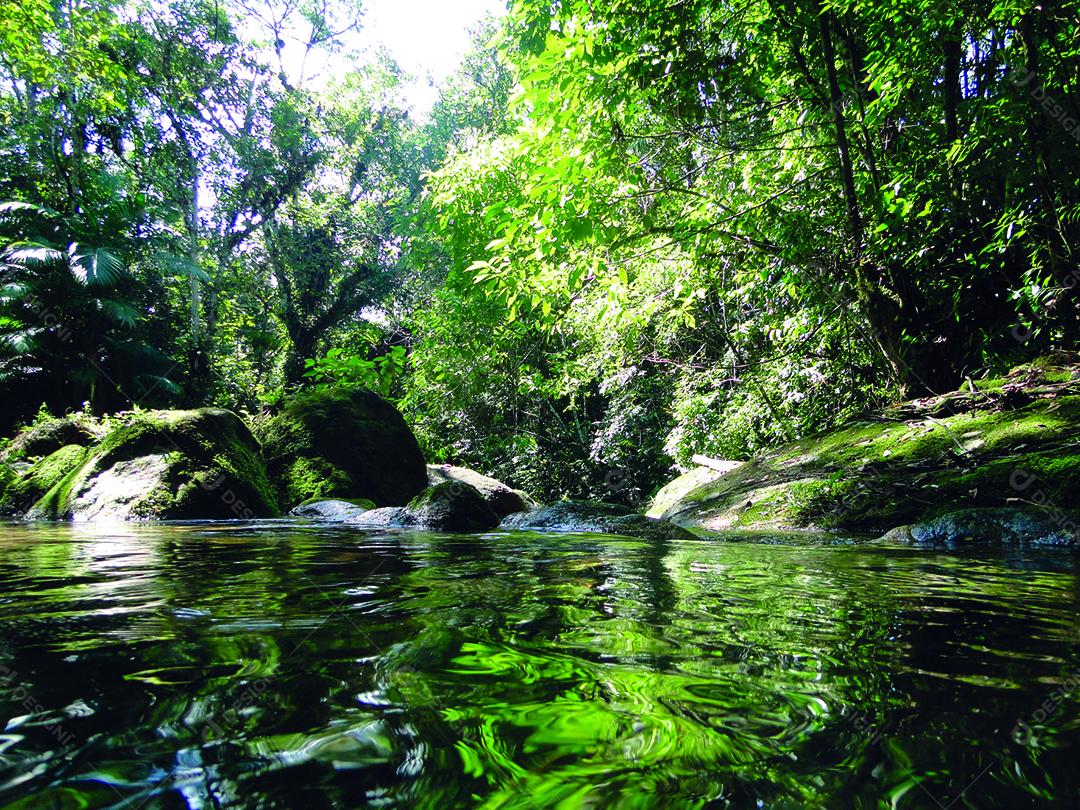 Rio com pedras grandes e arvores verdes