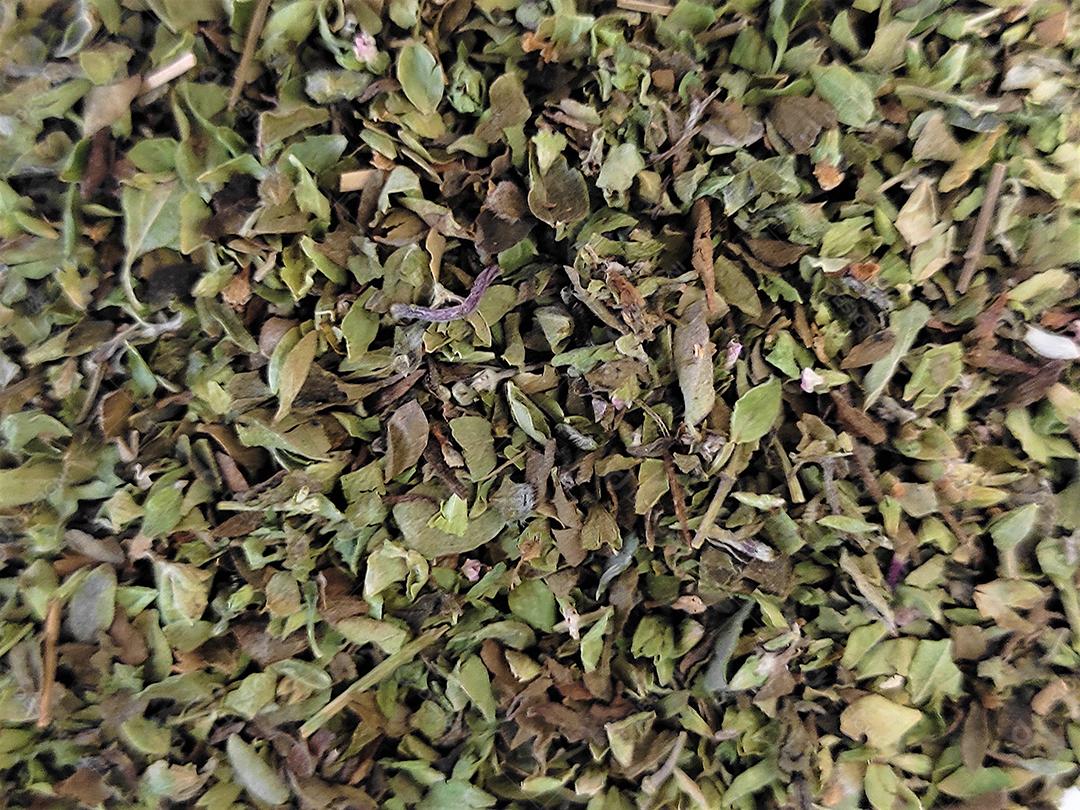 Textura de folhas secas florestan arvores