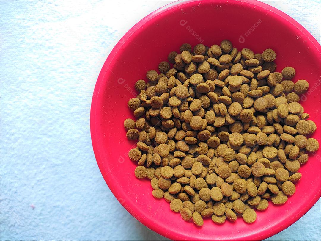 Comida de animal ração de cachorro sobre pote vermelho