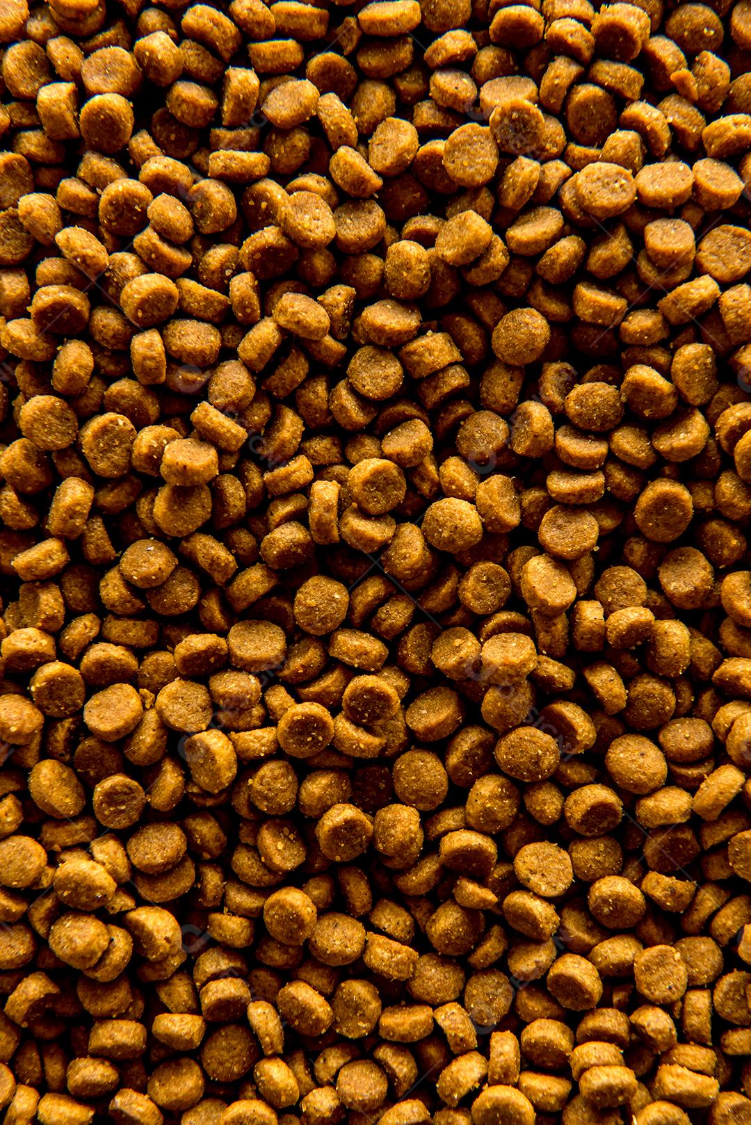 Fundo de textura de comida de gato seco, vista superior