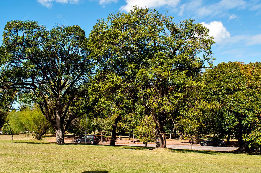 Bela praça pública arborizada na cidade de Montevidéu