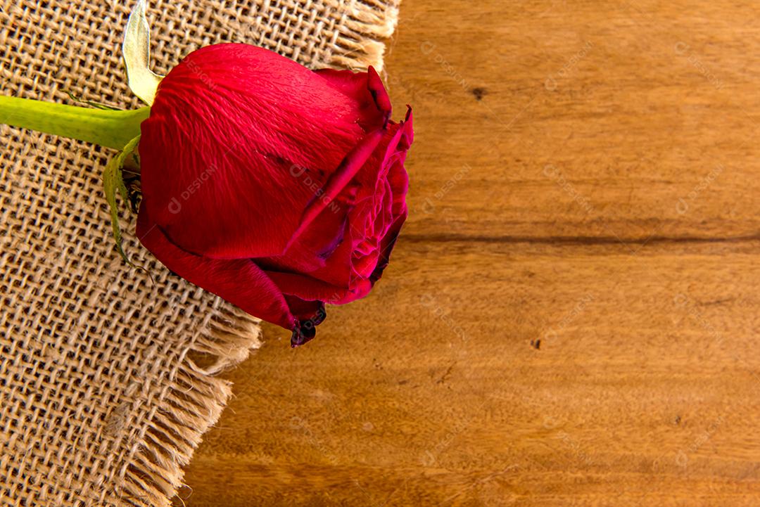 Conceito de dia dos namorados, rosa na mesa de madeira.