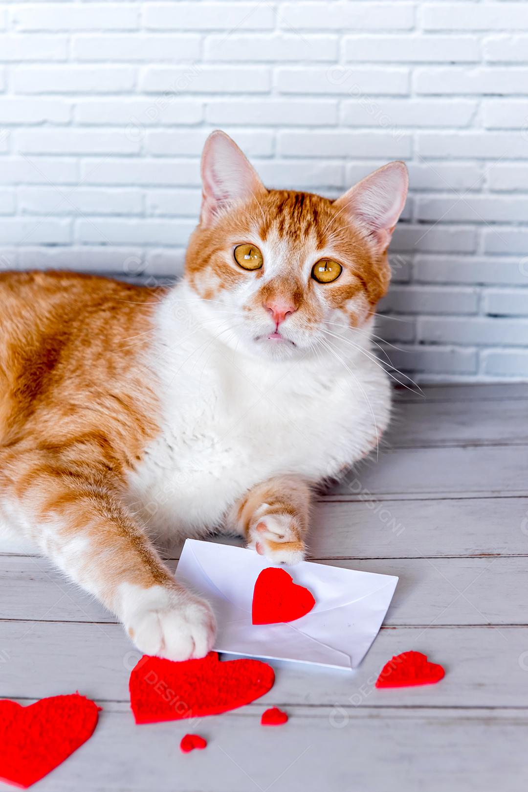 Conceito de dia dos namorados, gato amarelo com carta de amor, animal de estimação dia dos namorados