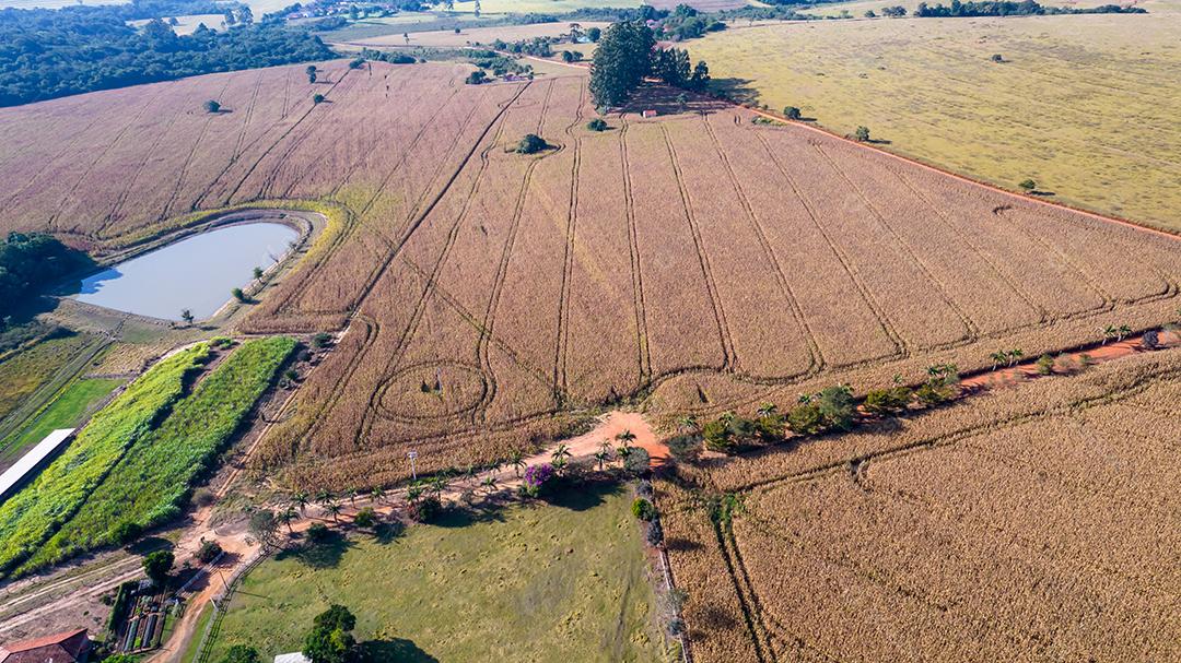 Vista aérea de um milharal na zona rural Em uma fazenda