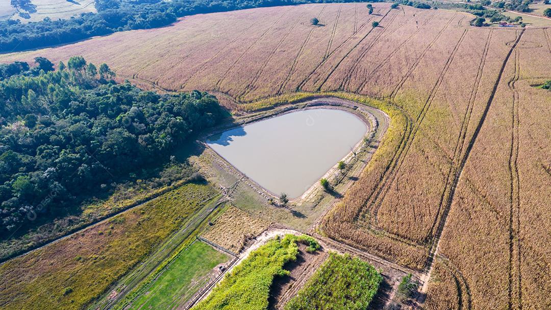 Vista aérea de um milharal na zona rural. Em uma fazenda no Brasil.