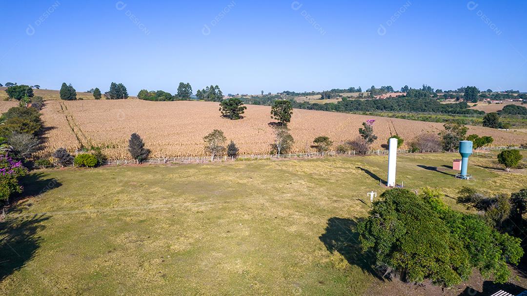 Vista aérea de um milharal na zona rural. Em uma fazenda no Brasil.
