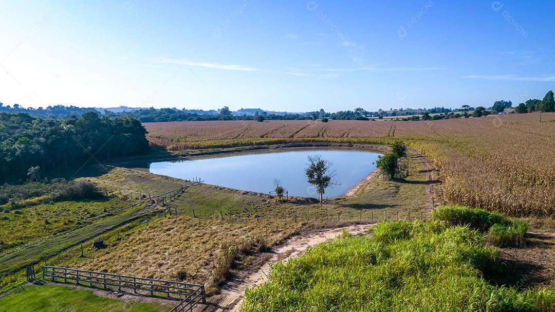 Vista aérea de um milharal na zona rural Em uma fazenda Com um lago no fundo