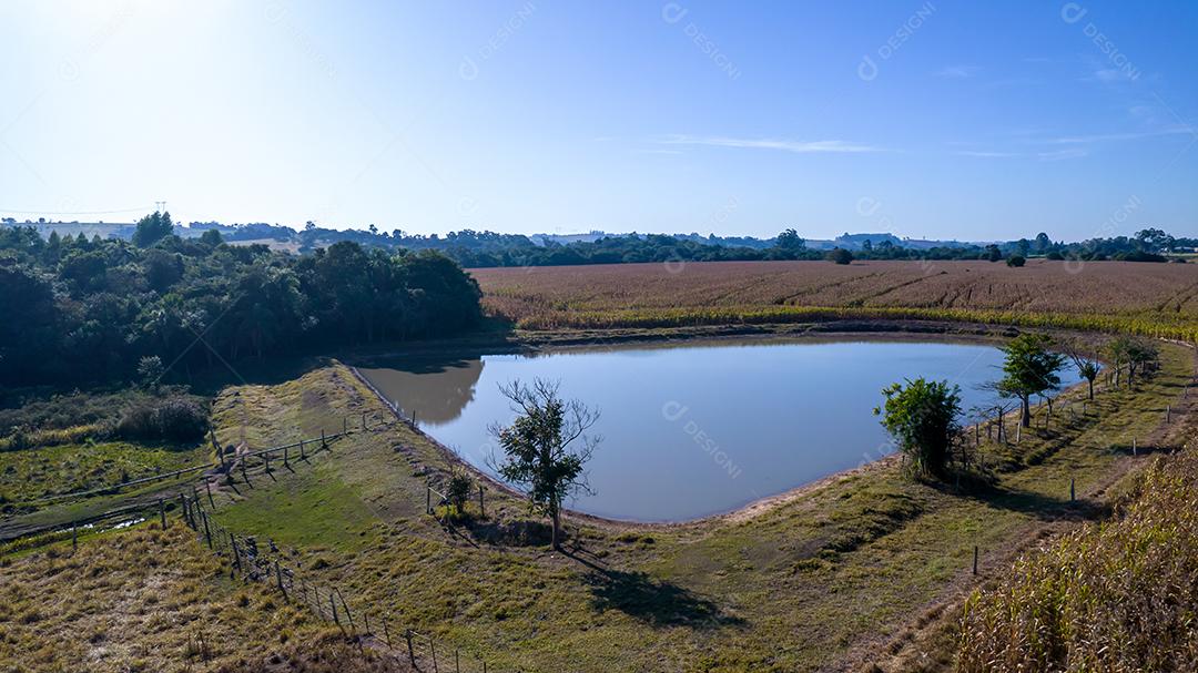 Vista aérea de um milharal na zona rural Em uma fazenda Com um lago no fundo