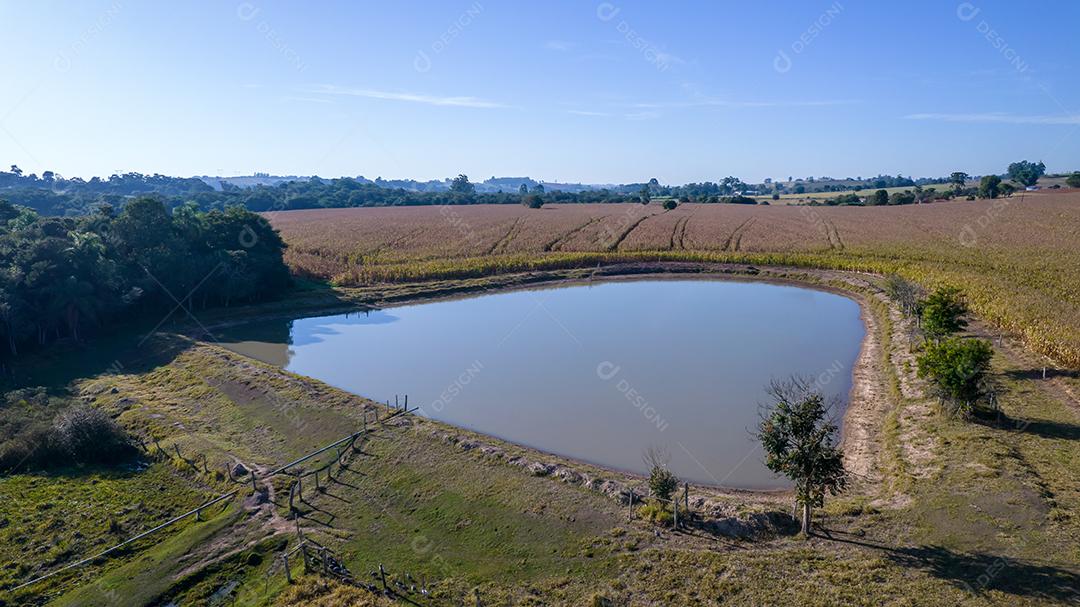 Vista aérea de um milharal na zona rural Em uma fazenda Com um lago no fundo