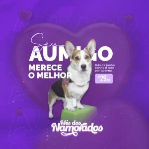 Arquivo