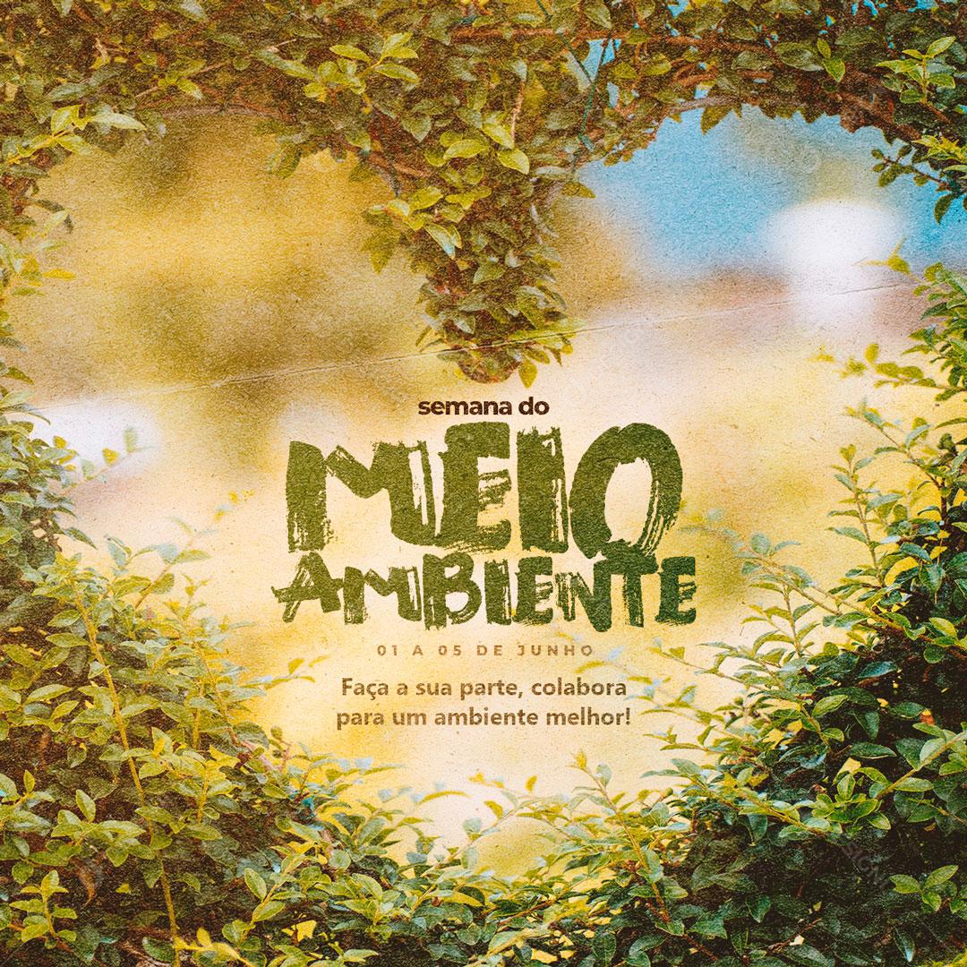 Dia 1 a 5 De Junho Semana Do Meio Ambiente Data Comemorativa Social Media PSD Editável