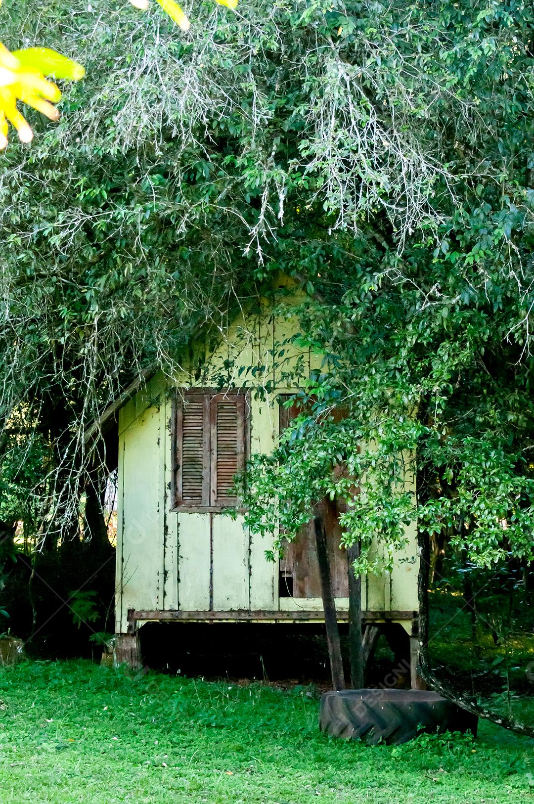 Casa abandonada tomada pela natureza.