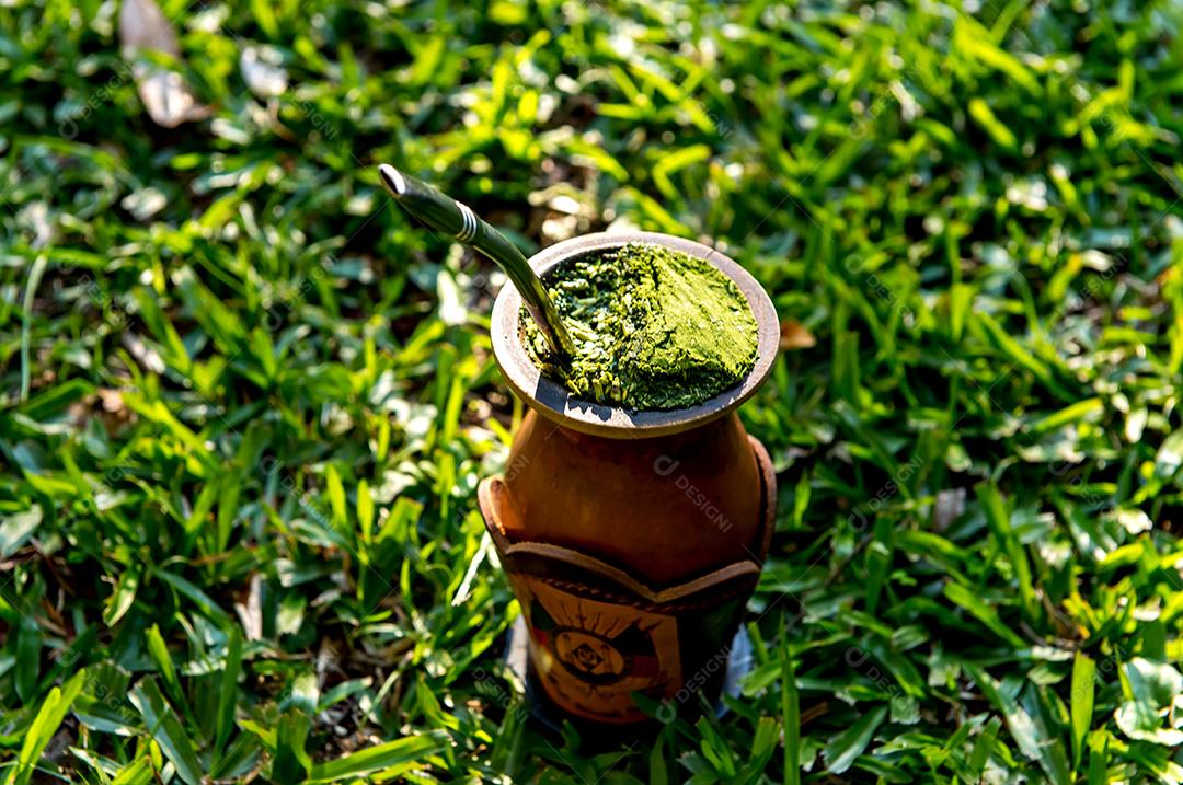 Chimarrão ou erva-mate, chá tropical do sul do Brasil