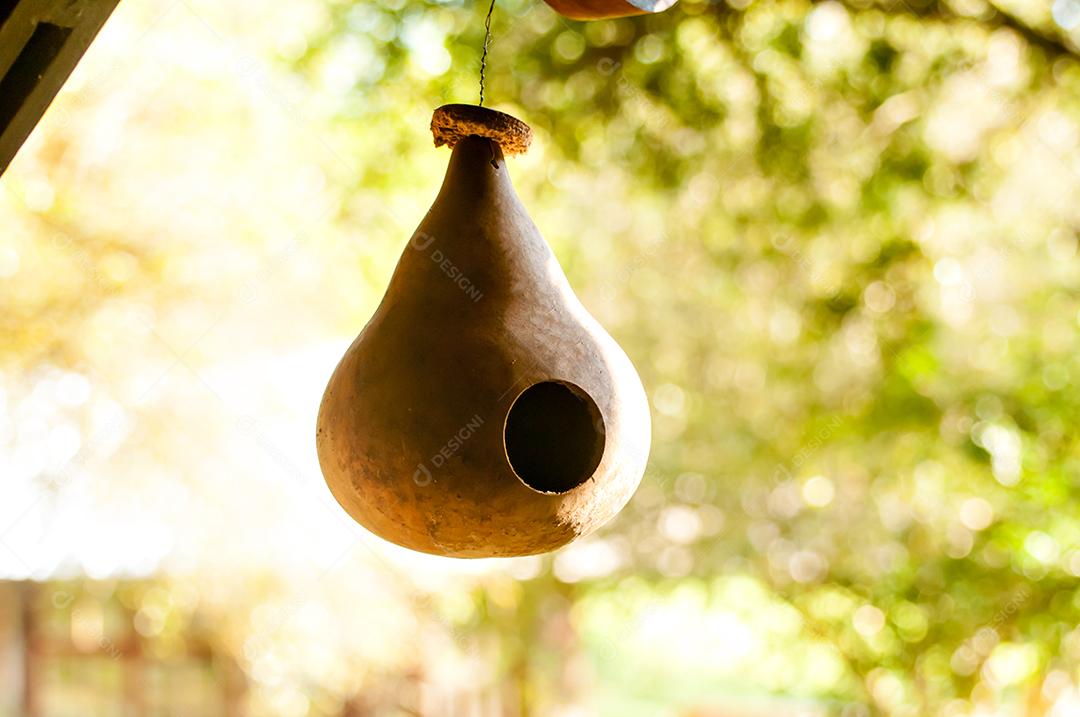 Pendurado porongo birdhouse na varanda
