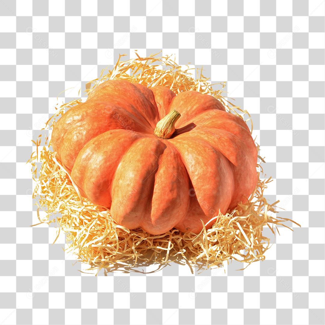 Comida verdura abobora