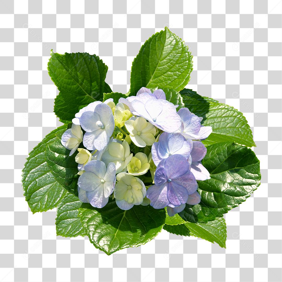 Flores roxas sobre folhas verde