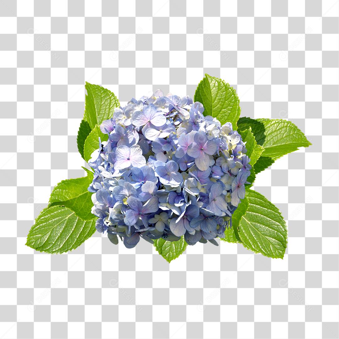 Flores roxas sobre folhas verde