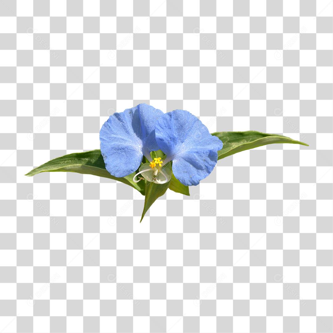 Flores roxas sobre folhas verde