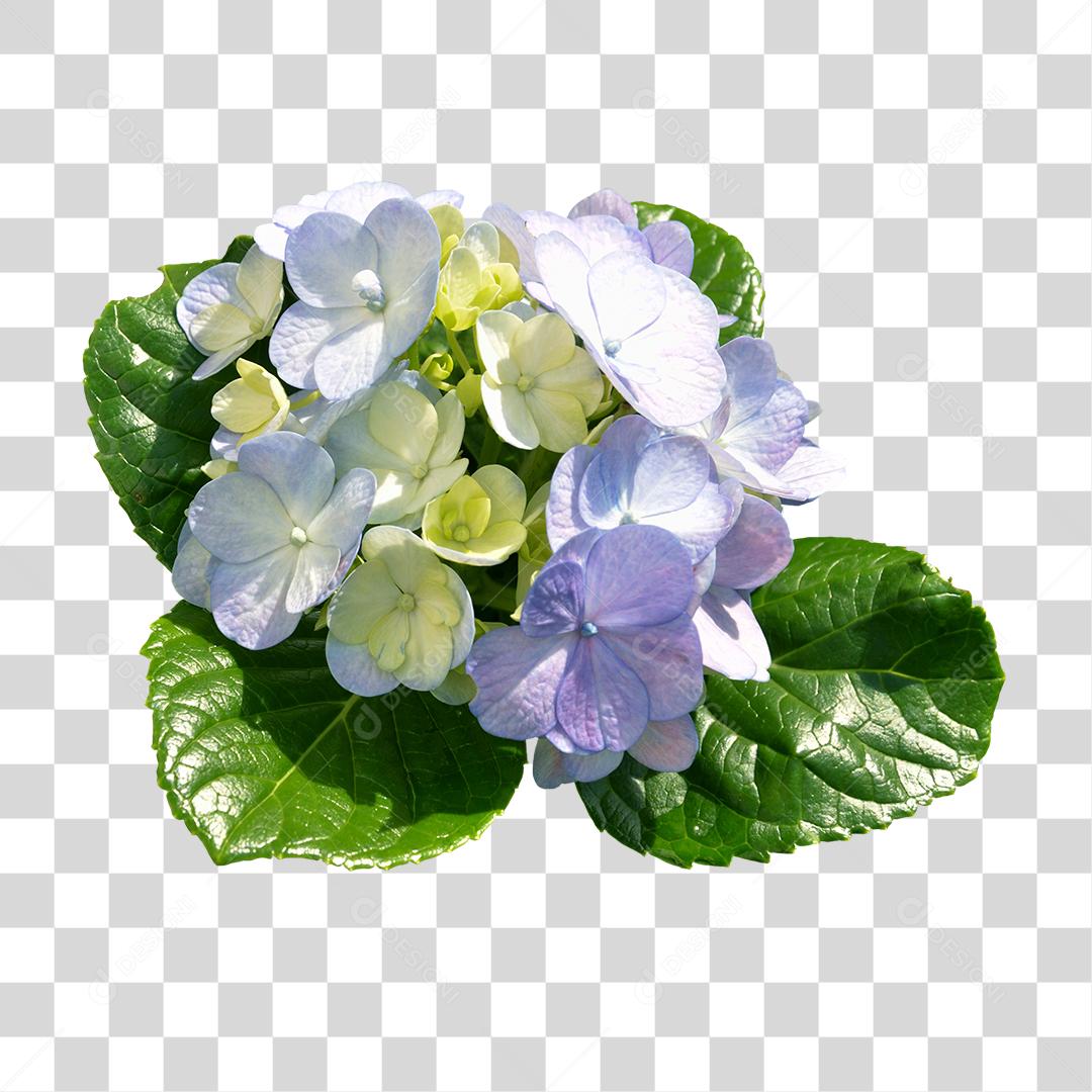 Flores roxas sobre folhas verde