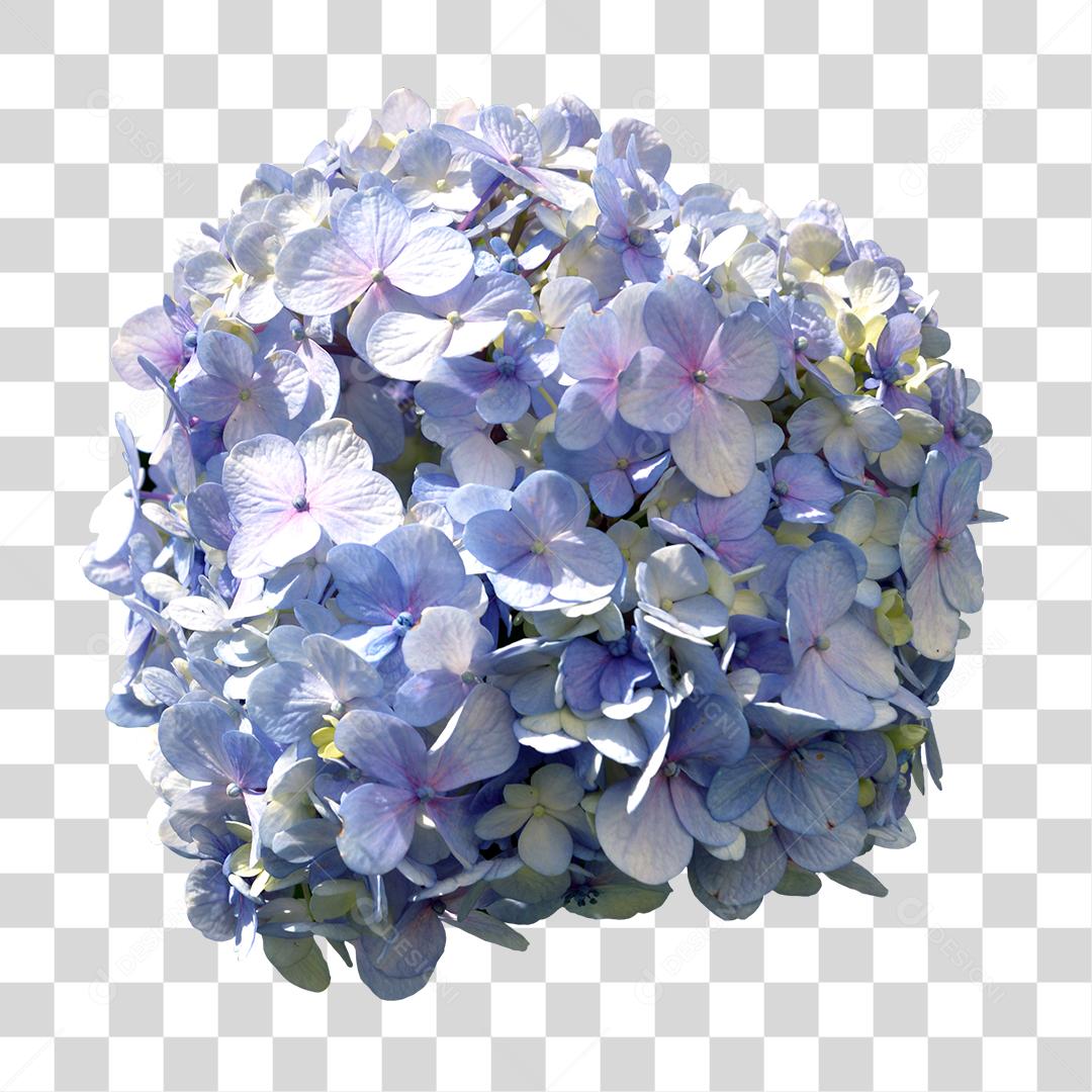 Flores roxas sobre folhas verde