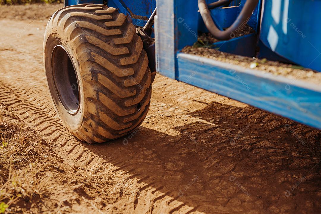 Colheita mecanizada de café