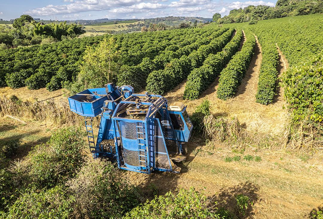 Colheita mecanizada de café em Minas Gerais, Brasil.