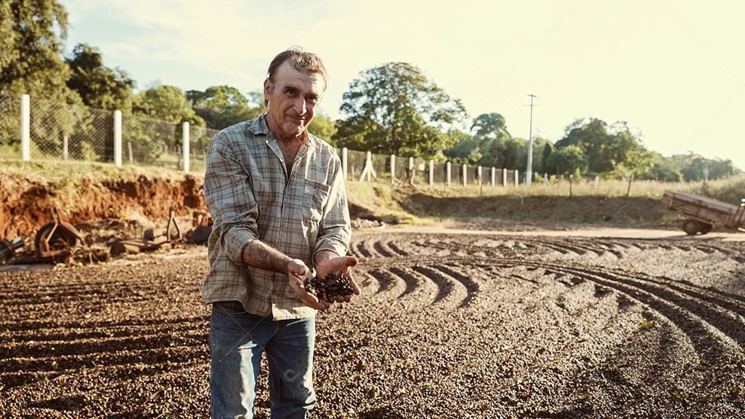 Agricultor latino mostrando pegou grãos de café vermelhos nas mãos. Café
