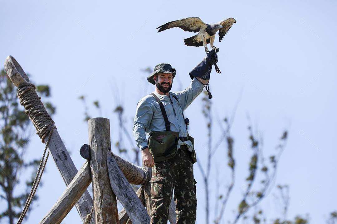 A arte milenar que ensina falcões e prevenção de acidentes aéreos