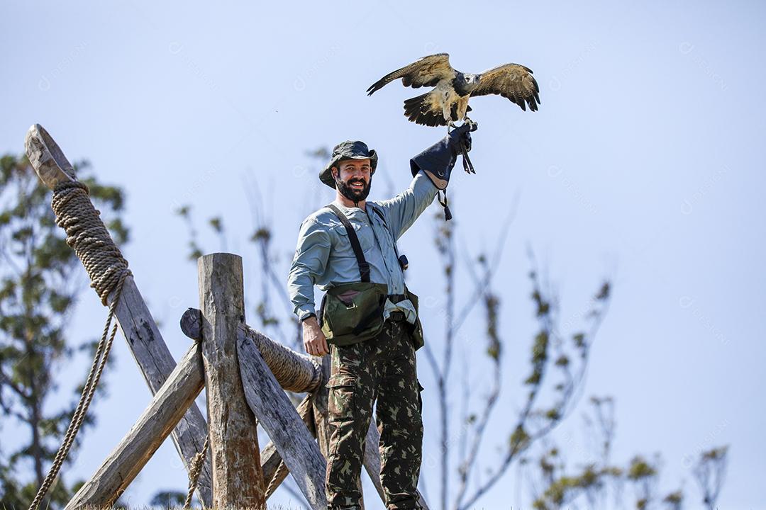 A arte milenar que ensina falcões e prevenção de acidentes aéreos