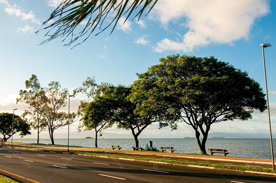 rodovia urbana com movimentaçãod de ccarros e pedestres