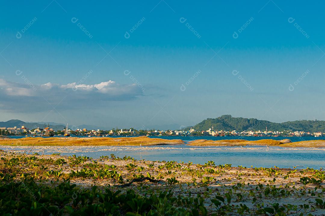 Paisagem praia mar floresta céu azul