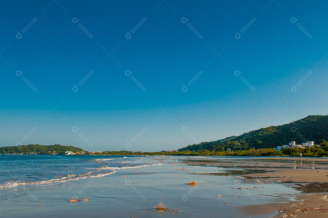 Paisagem praia mar floresta céu azul