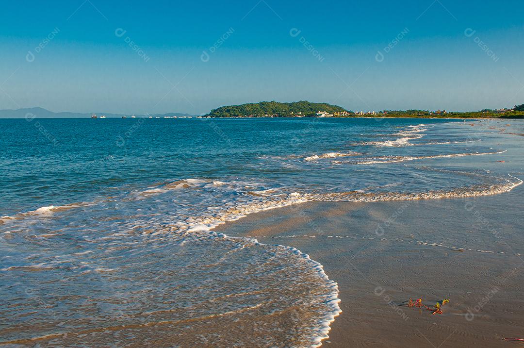 Paisagem praia mar floresta céu azul
