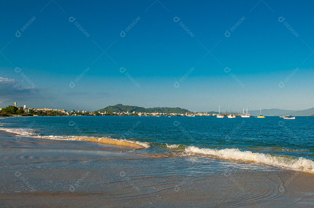 Paisagem praia mar floresta céu azul