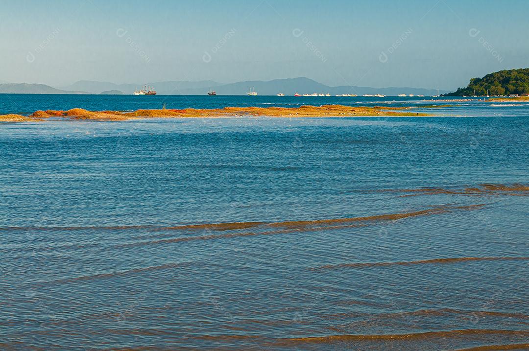 Paisagem praia mar floresta céu azul