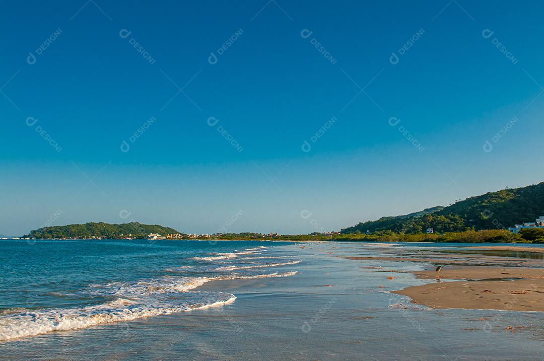 Paisagem praia mar floresta céu azul
