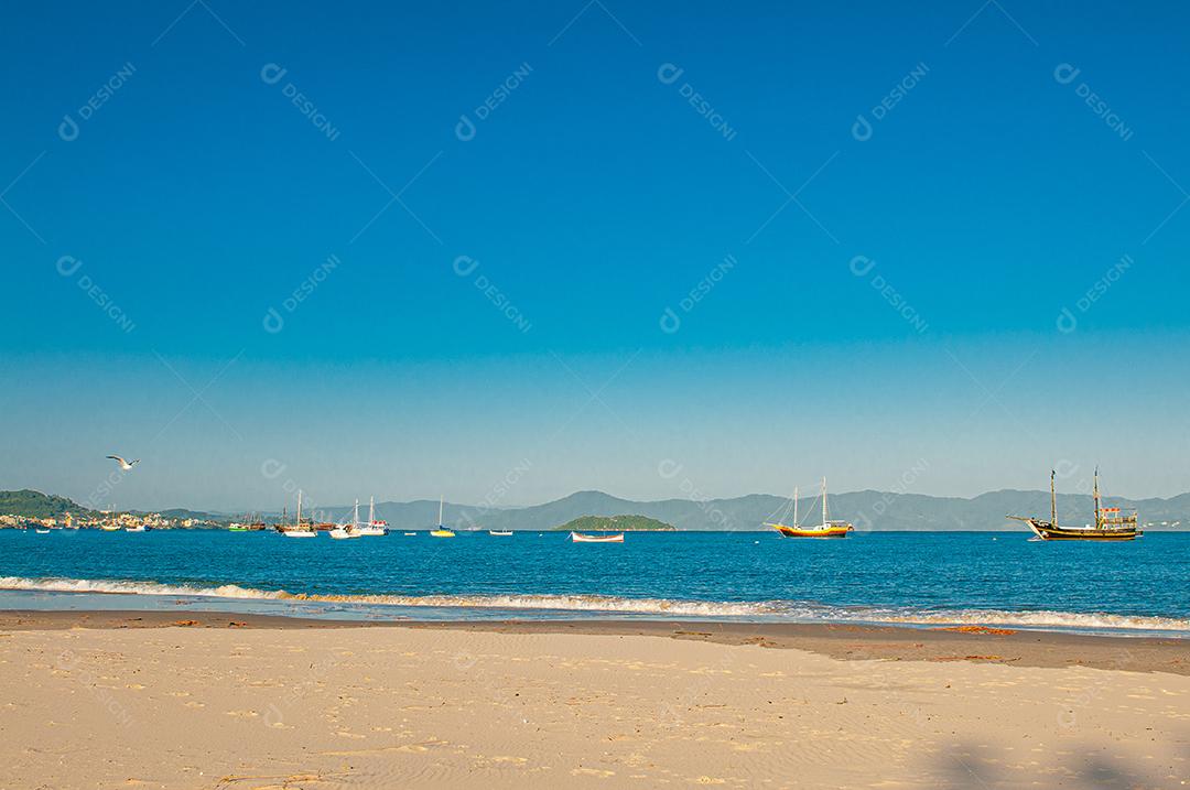 Paisagem praia mar floresta céu azul