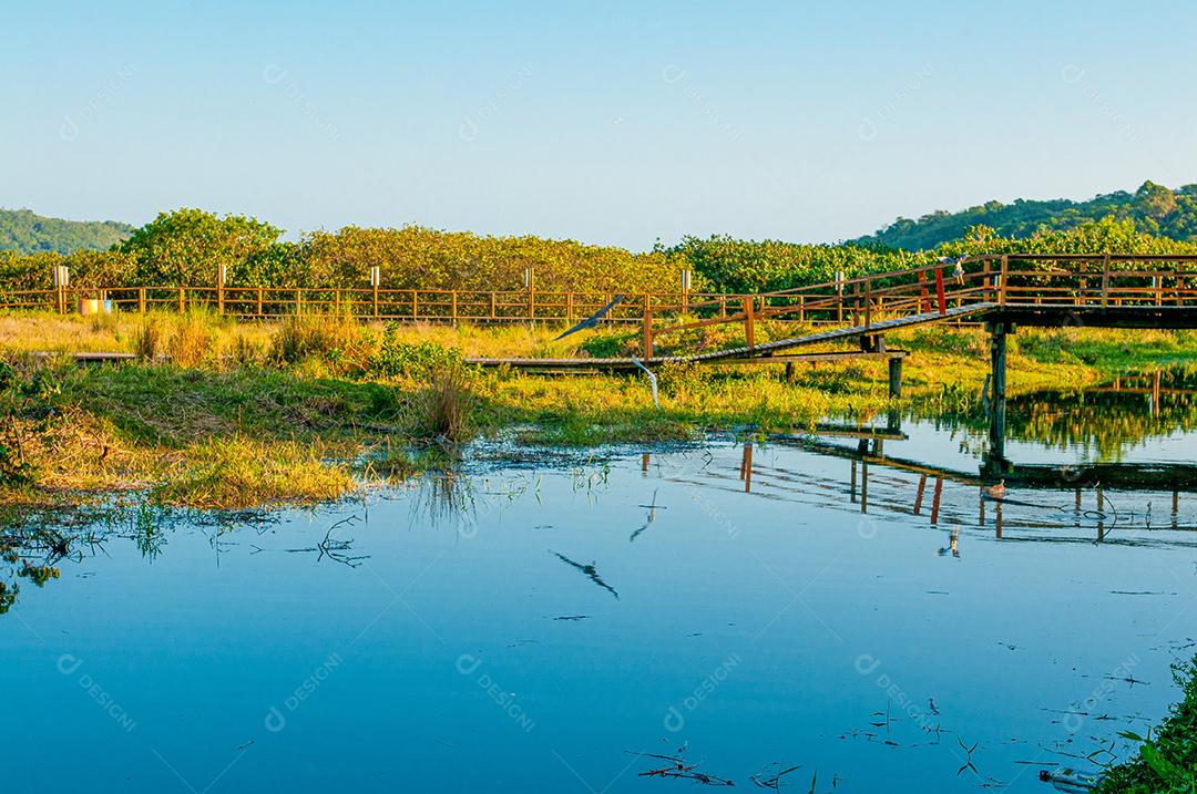 Paisagem praia mar floresta céu azul