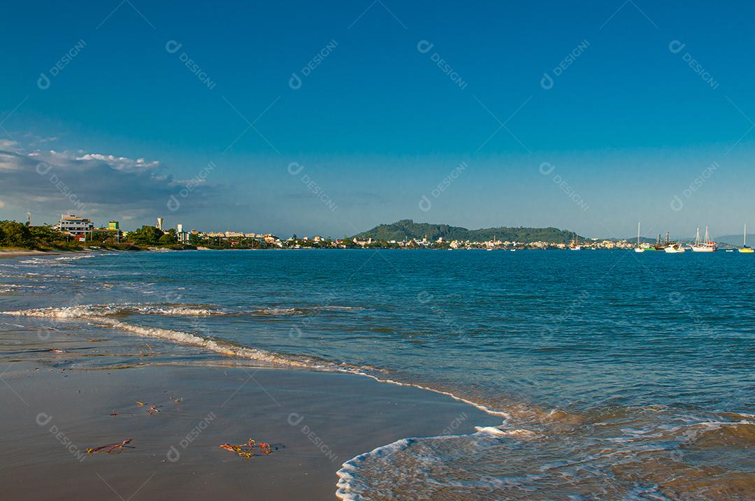 Paisagem praia mar floresta céu azul