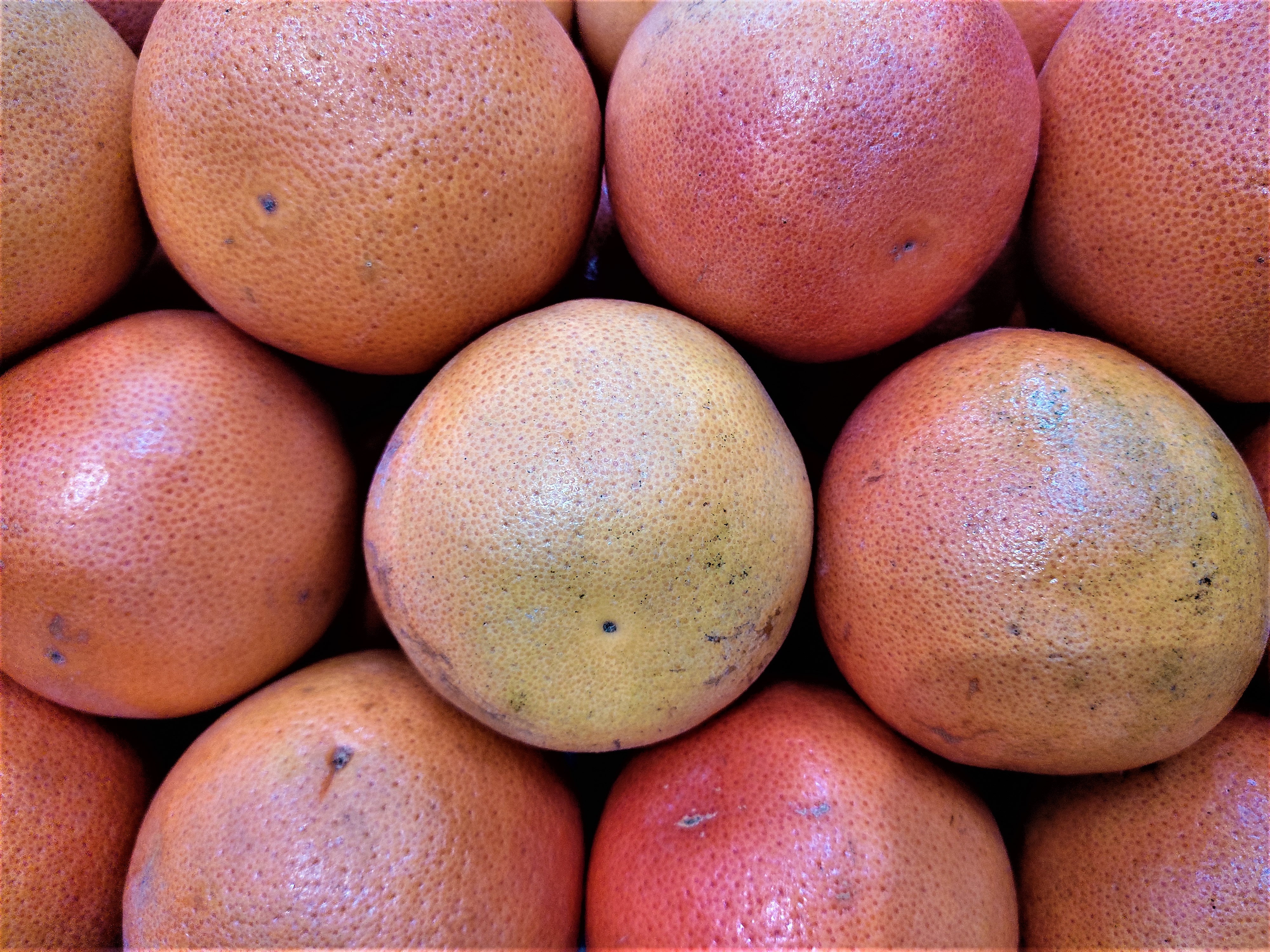 Comida frutas laranjas sobre pratileiras de mercado supermercado