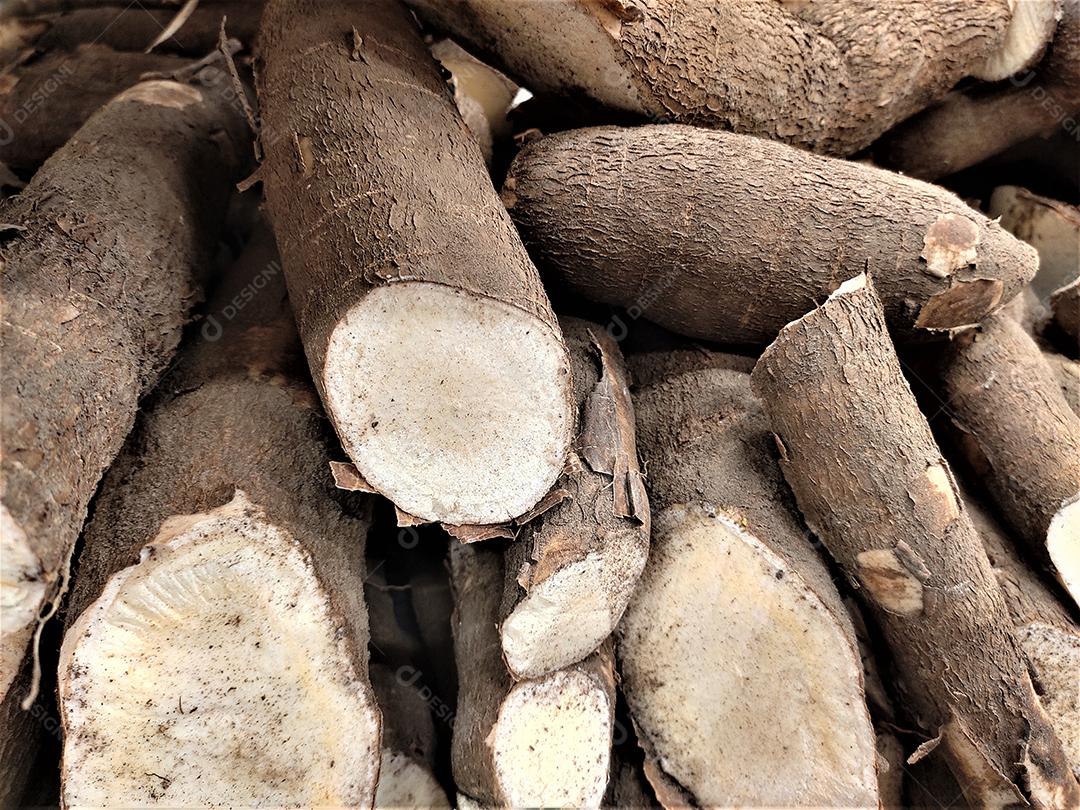 Verduras mandioca sobre pratileiras de mercado supermercado