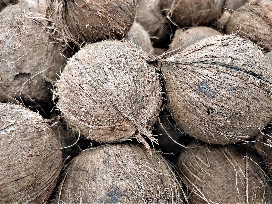 Fruta coco sobre pratileiras de mercado supermercado