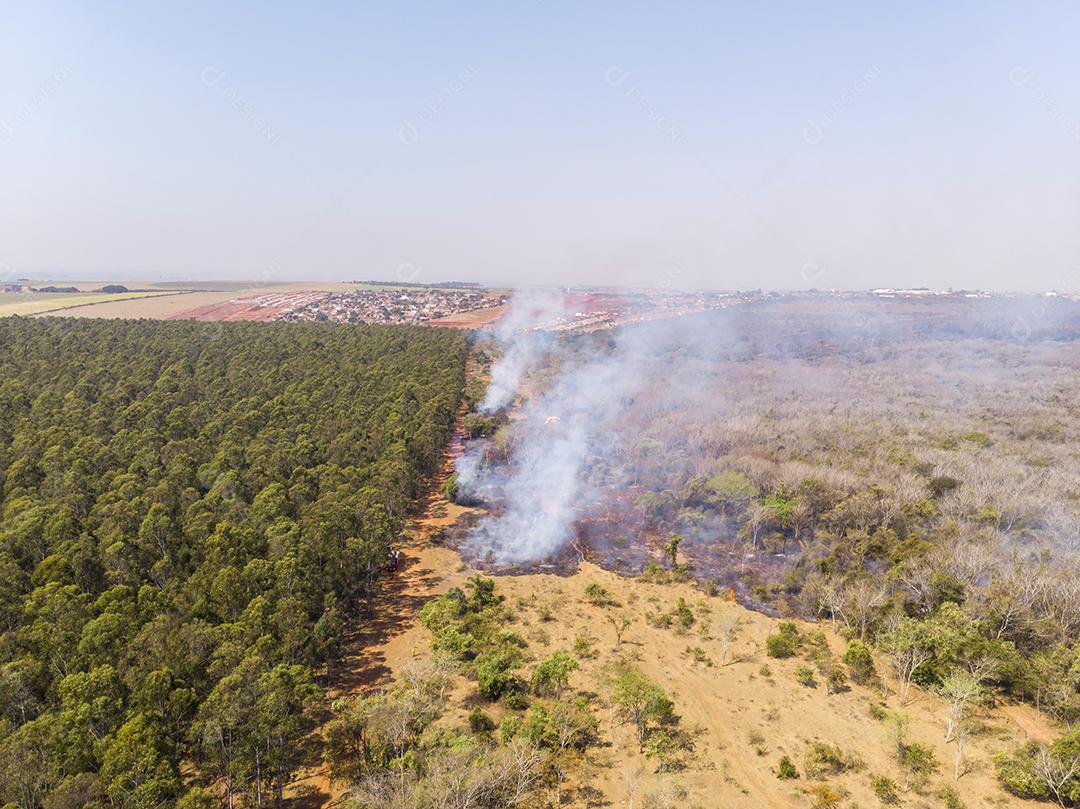 Queimada no Pantanal