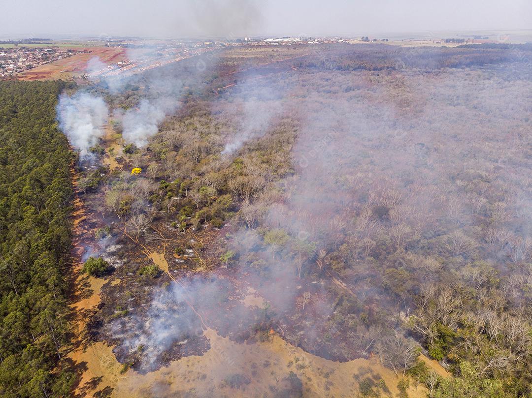 Floresta amazonia pegando fogo