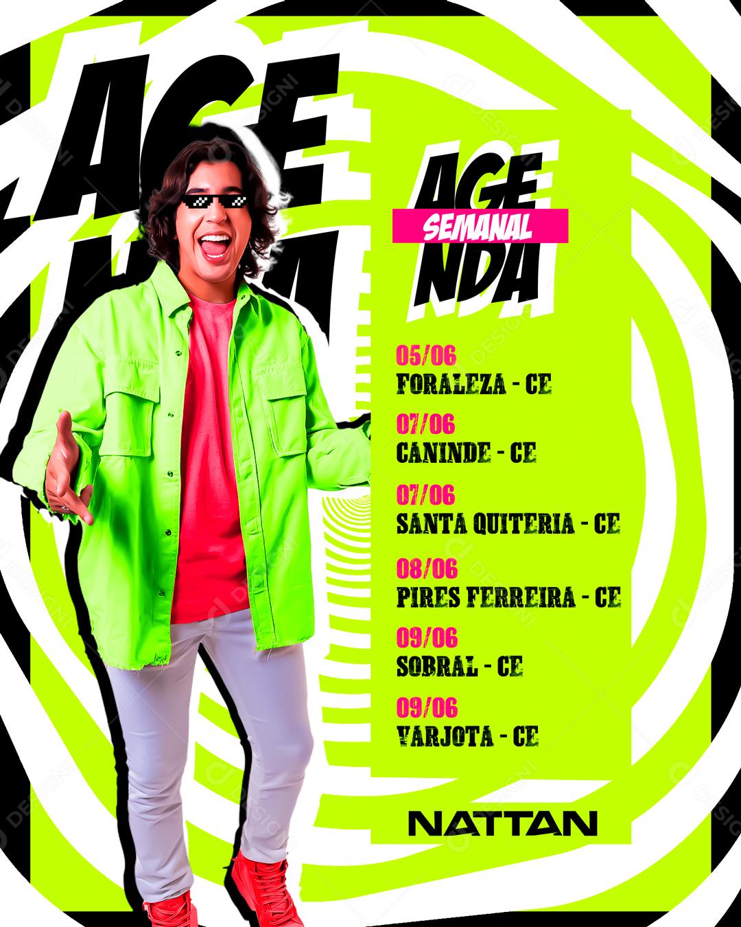 Flyer de Agenda de Show Nattan Story Social Media PSD Editável