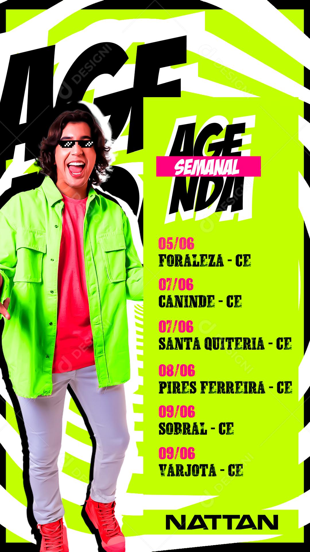 Flyer de Agenda de Show Nattan Story Social Media PSD Editável